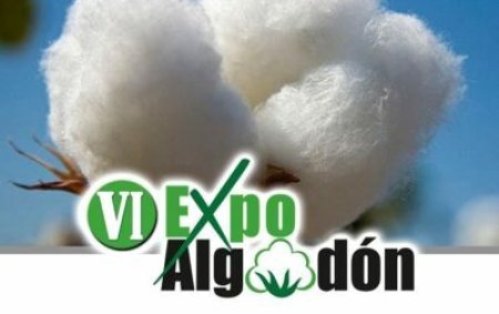 EuroChem Agro presente en la VI Expoalgodón