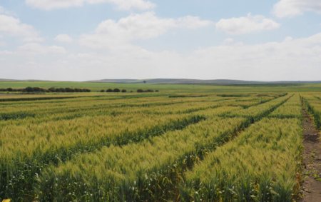 Jornadas de Campo ENTEC® en Carmona y Jerez de La Frontera