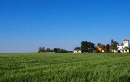 EuroChem y las Buenas Prácticas Agrícolas en cereal