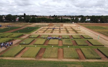Jornadas de campo ENTEC® en Zamadueñas, ITACyL (Valladolid)