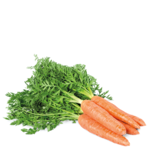 Hortícolas