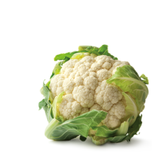 Hortícolas
