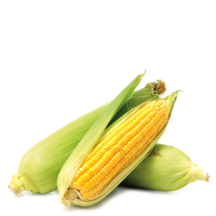 Maíz
