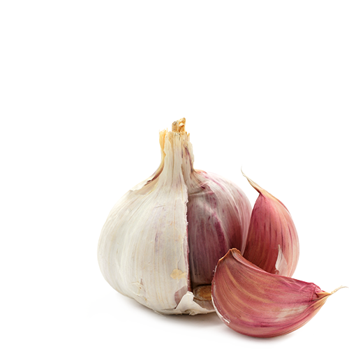 Ajo