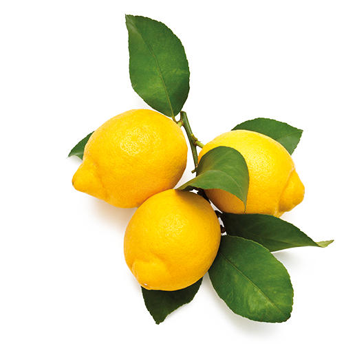 Citricos