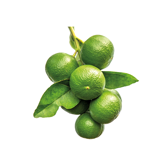 Сitricos