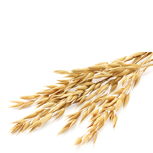Cereales
