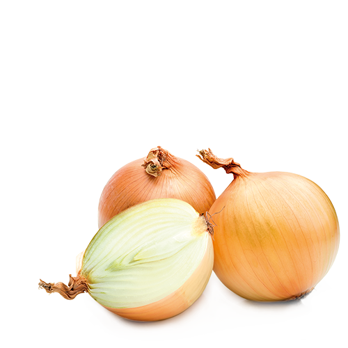 Cebolla
