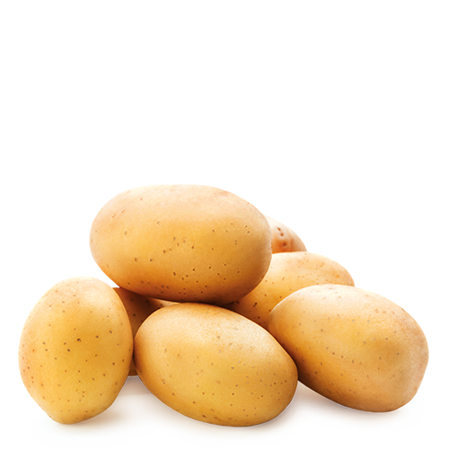 Patata