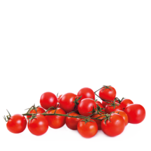 Hortícolas