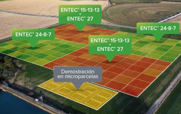 Digitalización en los ensayos on-farm