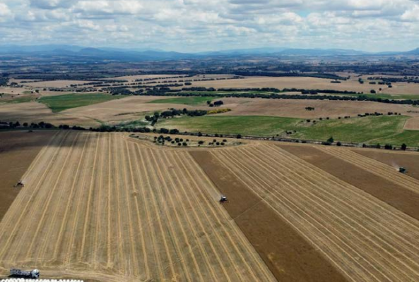 Efecto de la climatología en la fertilización