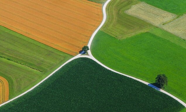 ¿Hay conflicto entre la agricultura intensiva y la protección de la biodiversidad?