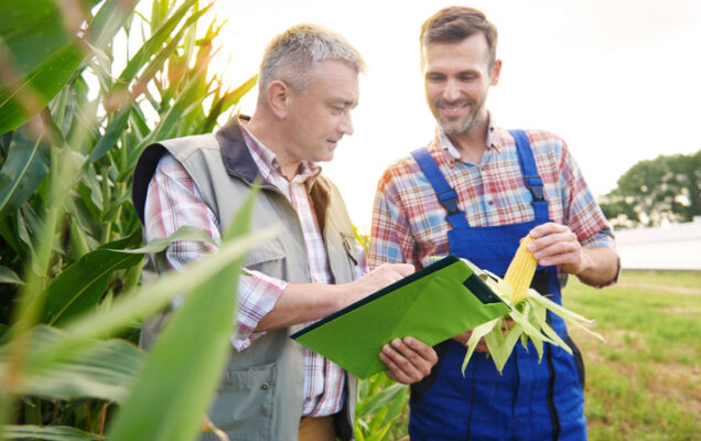 Fertilizantes de eficiencia mejorada – Solución inteligente para una demanda creciente