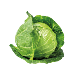 Hortícolas
