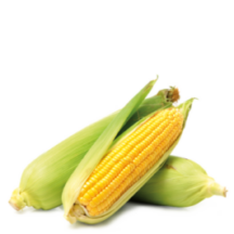 Maíz