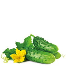 Hortícolas