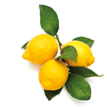 Frutales