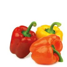 Hortícolas
