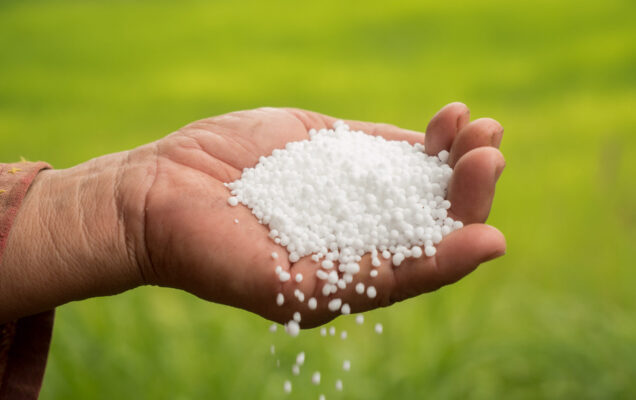 Problemática de la fertilización con urea y derivados